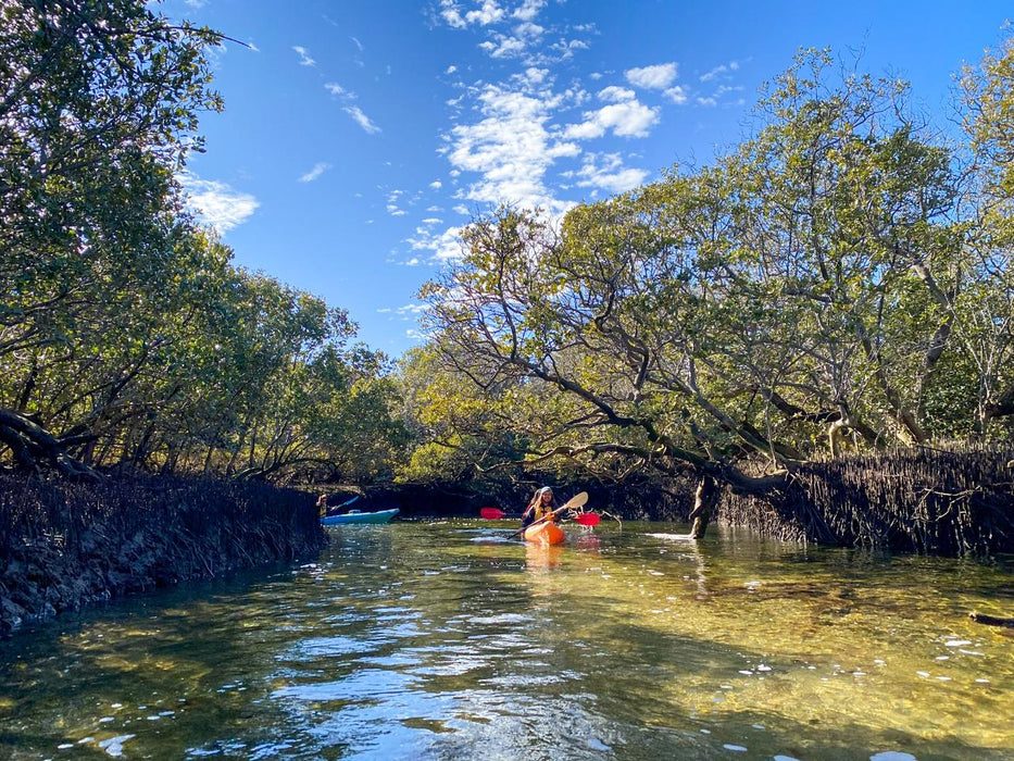 2 Person Kayak Hire