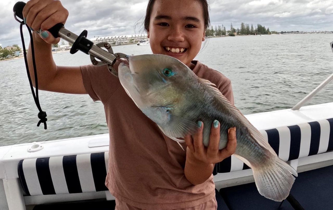 Shared Broadwater Fishing - Pickup From Runaway Bay