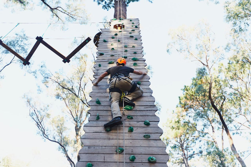 Forest Adventures Park Entry