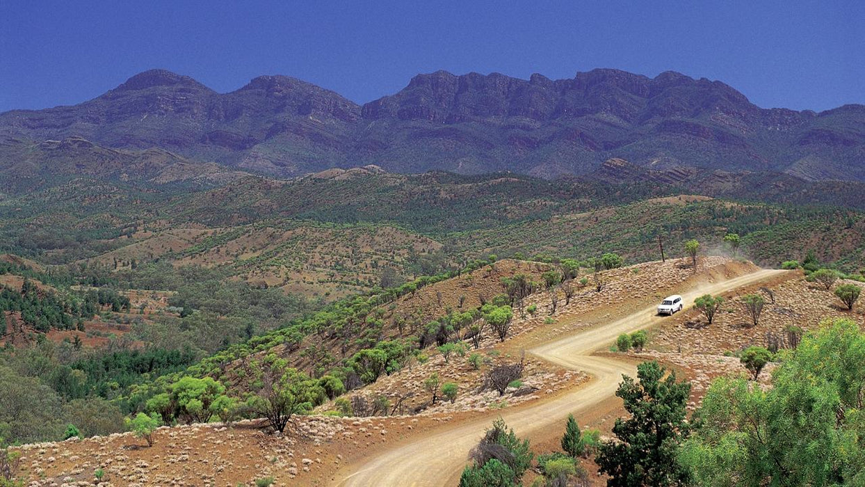 3-Day Flinders Ranges & Outback Small Group 4Wd Eco Safari