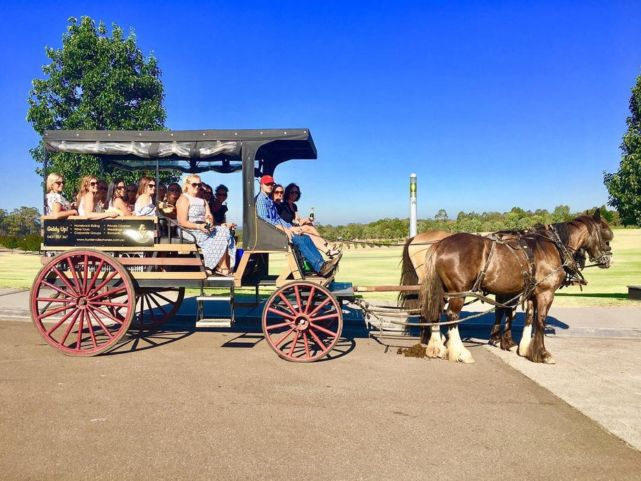 45-Minute Vineyard Horse-Drawn Carriage Ride