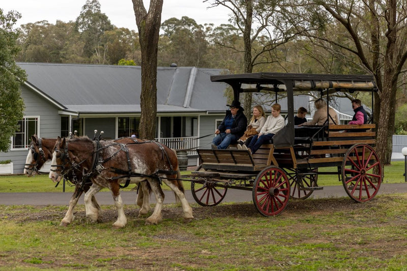 Taste The Valley - Full Day Horse Carriage Wine Tour With Lunch (Minimum 4 People )