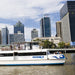 Koala & River Cruise - Return Cruise- Entry Included