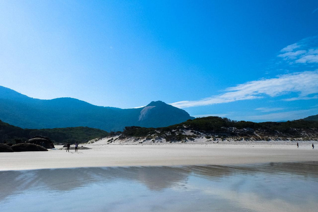 Experience Wilsons Promontory On A Full Day Tour