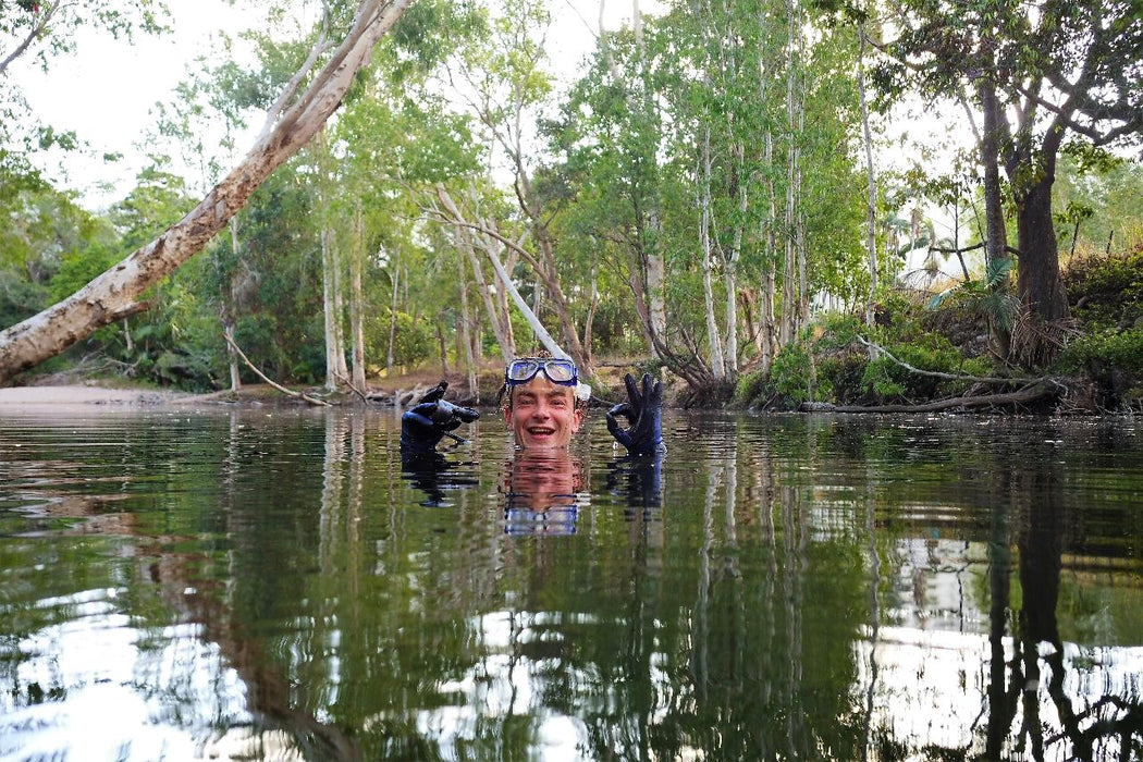 Rainforest Platypus Dive