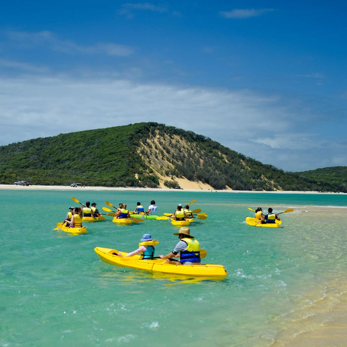 Noosa Dolphin View Sea Kayak & Beach 4X4 Adventure - Day Tour