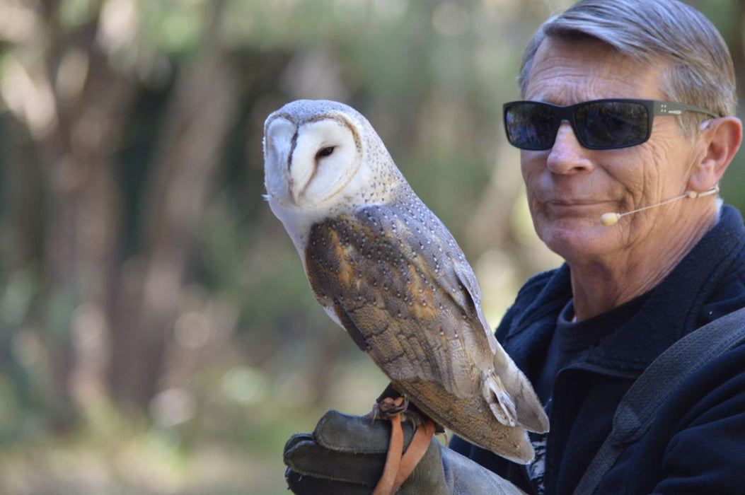 Eagles Heritage Encounters And Birds Of Prey Forest Walk