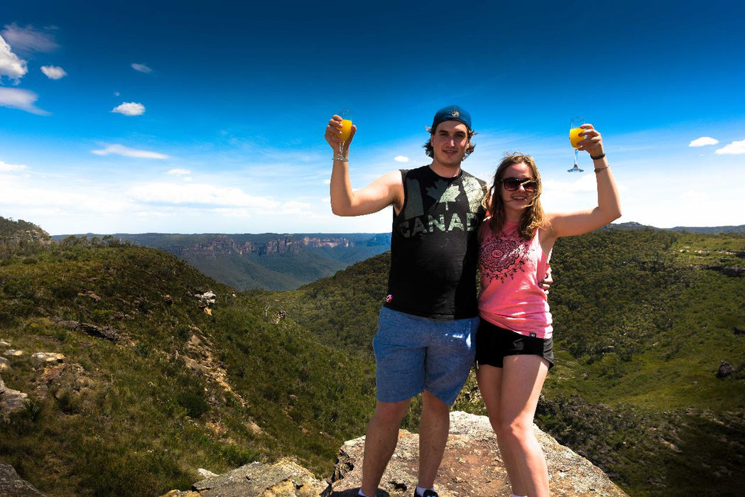 Blue Mountains Private Charter 1 Day Tour