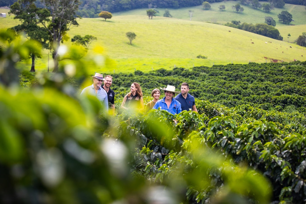 Cairns Tablelands Tasting Tour