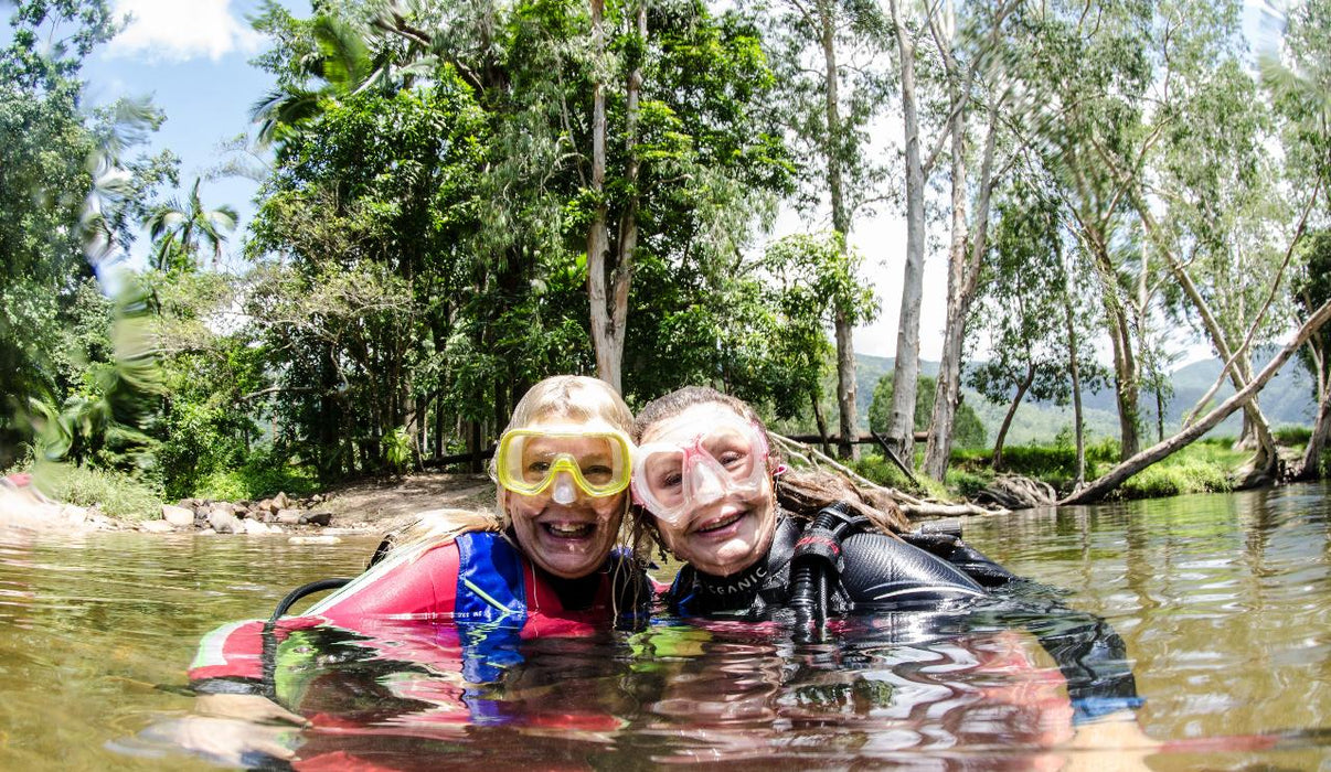 Rainforest Platypus Dive