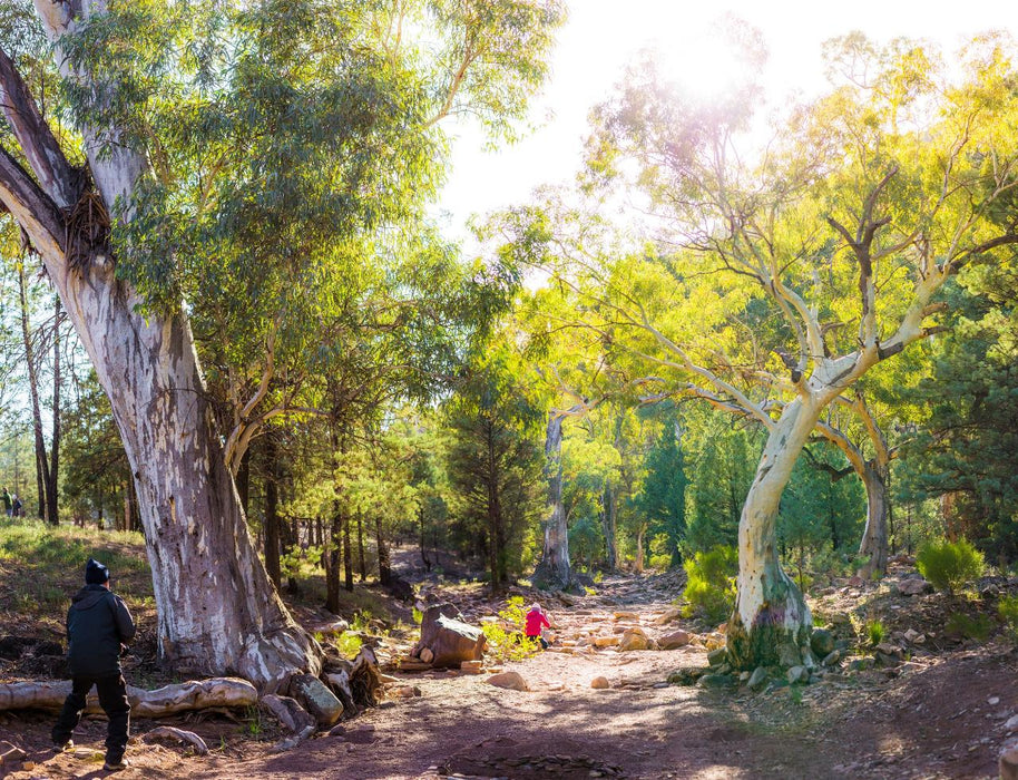 Flinders Ranges Photography Tour