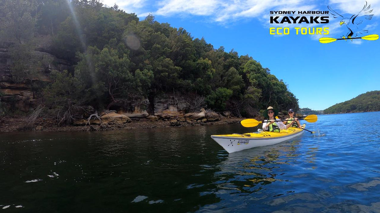 Kayaking Eco Tour - Middle Harbour