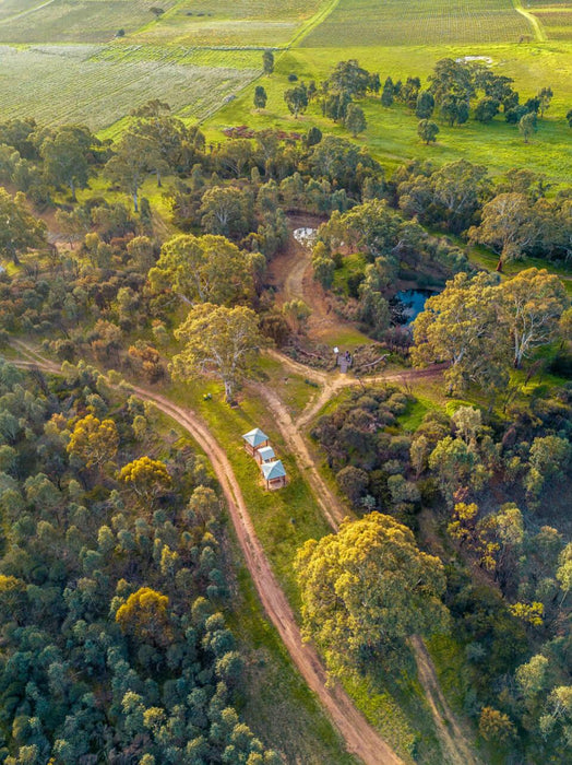 Wine And Wander At Gemtree Wines