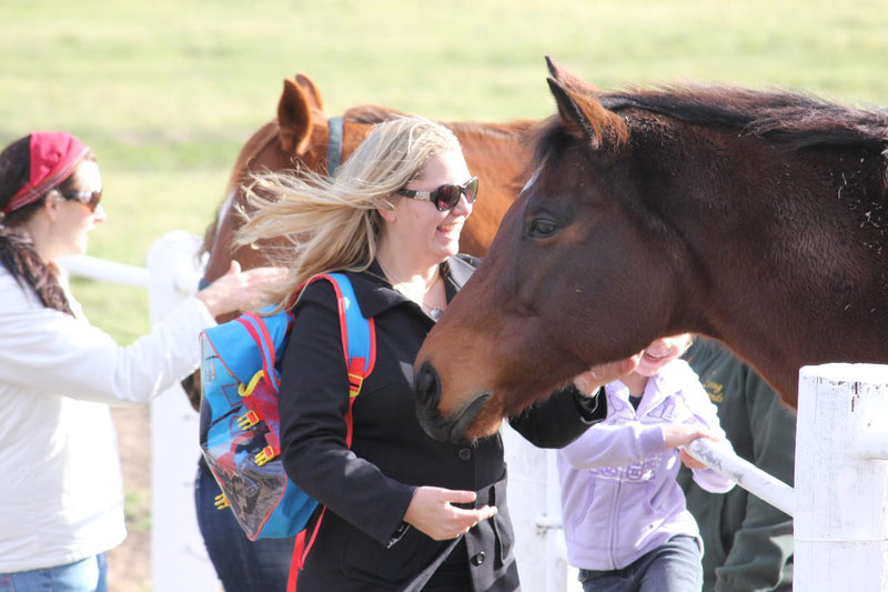 Half Day Racehorse Tour