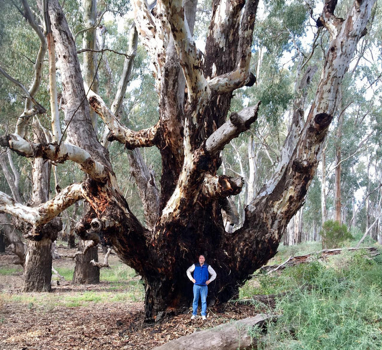 Australian Bush Delights - Hattah National Park Tour