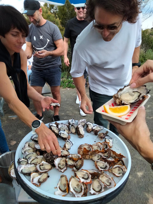 Oyster Farm Shuck And Chat