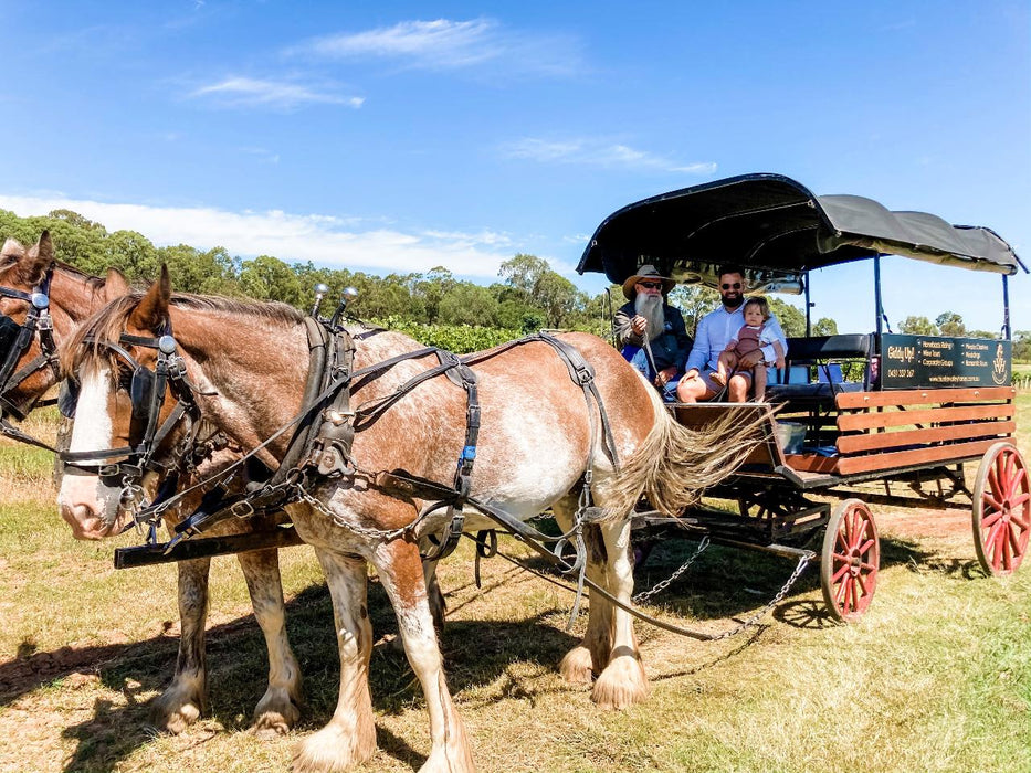 Taste The Valley - Full Day Horse Carriage Wine Tour With Lunch (Minimum 4 People )