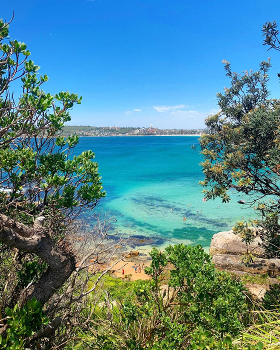 Port Stephens North Coast Tour