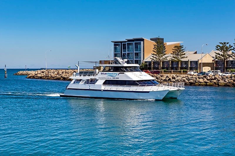 Rottnest Island (Wadjemup) Dive Or Snorkel