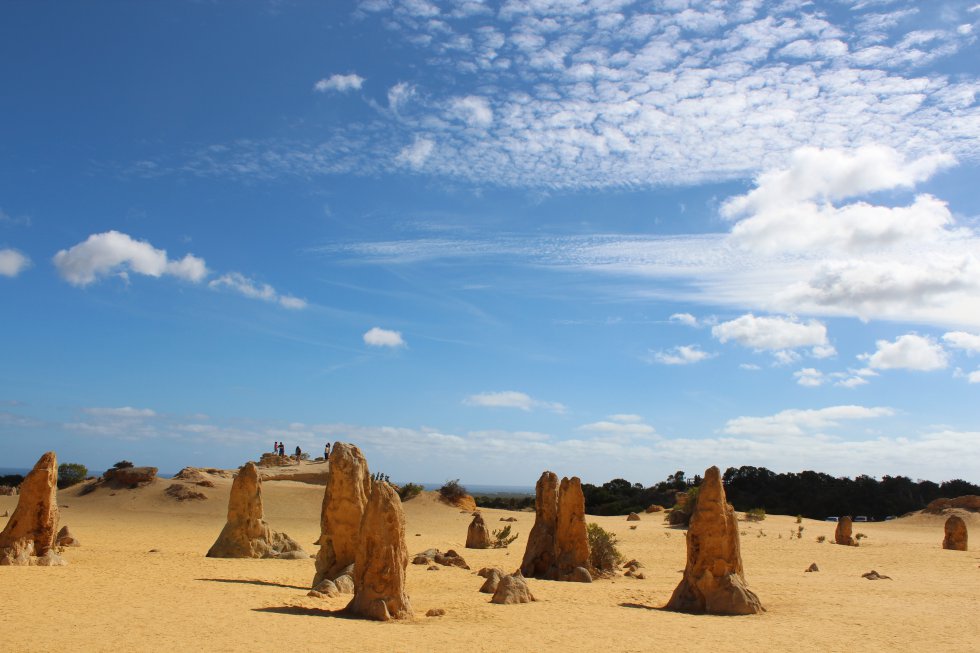 Pinnacles, Swan Valley Wildlife Park & Lancelin