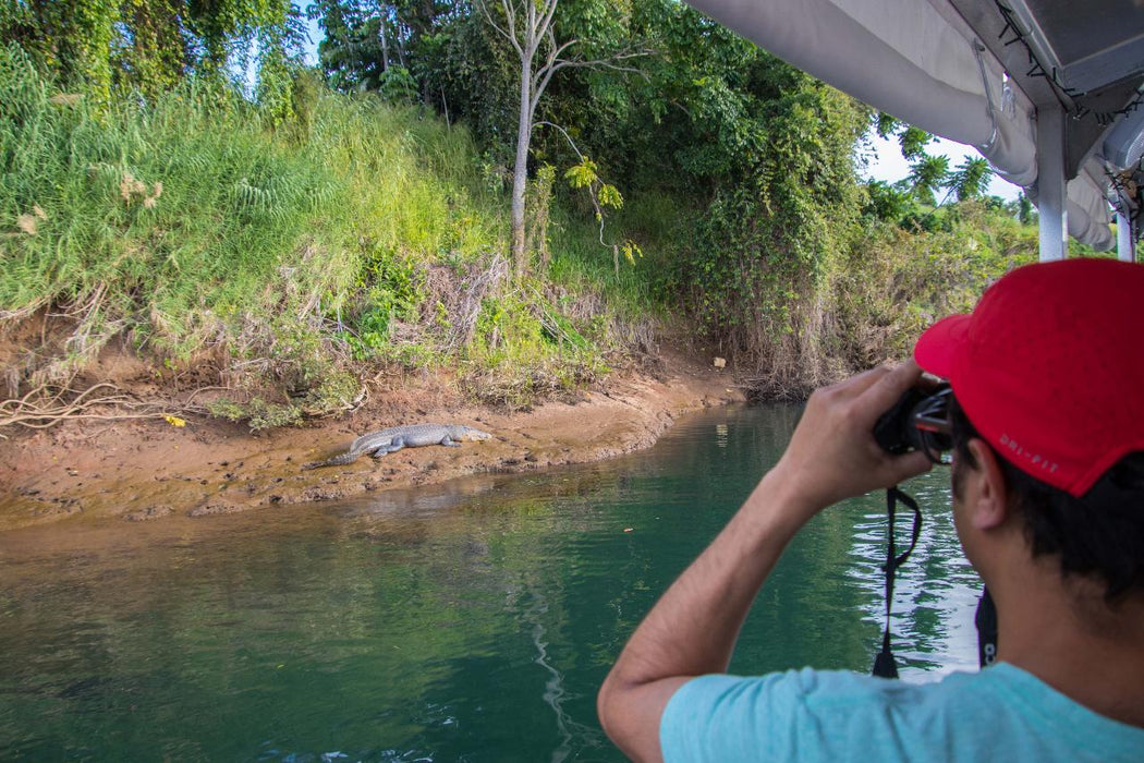 Johnstone River Croc & Wildlife Tour