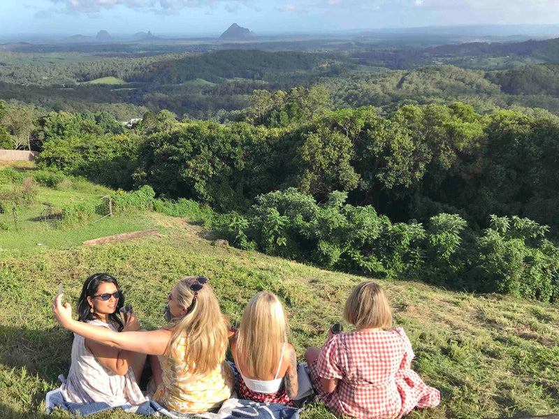 Maleny And Montville Tour With Artisan Village And Wine Tasting - Luxury Private Tour