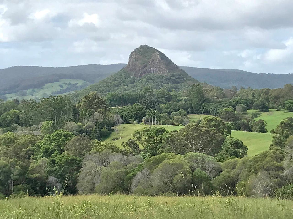 Noosa Hinterland Tour From Noosa With Gourmet Lunch, Wine Tasting And Everglades Lake - Luxury Priva