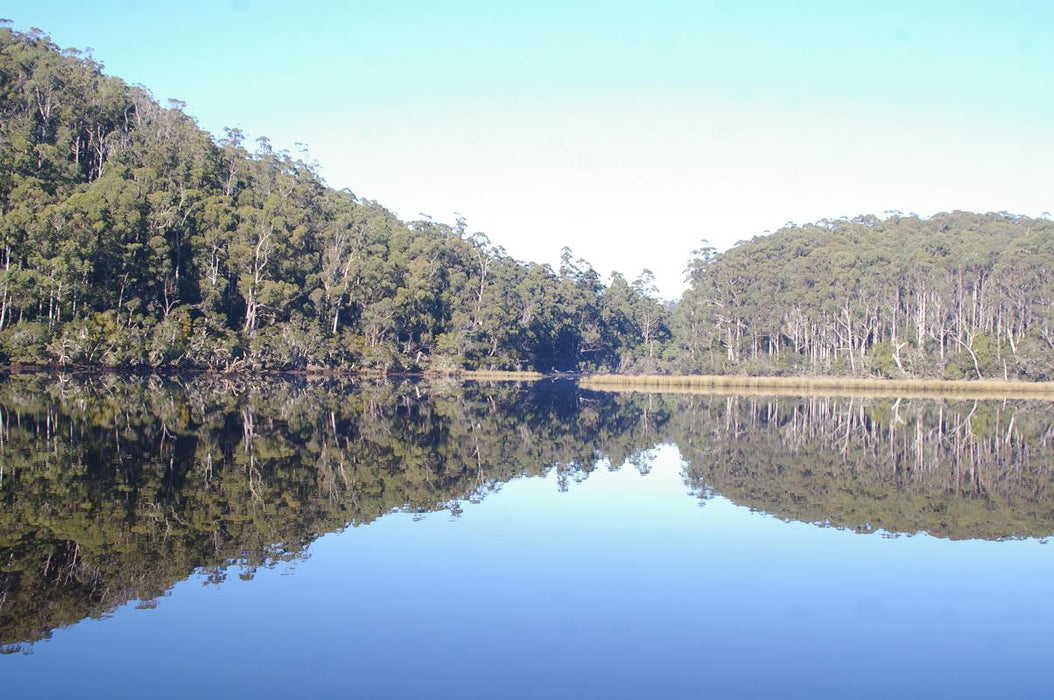 Leven River & History Cruise