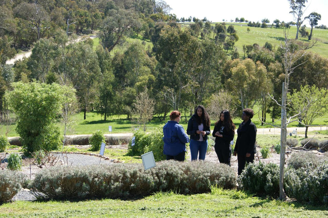 Jurlique Farm Tour & Hills Gourmet Picnic