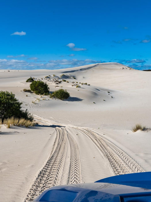 1-Hour Little Sahara Buggy Tour