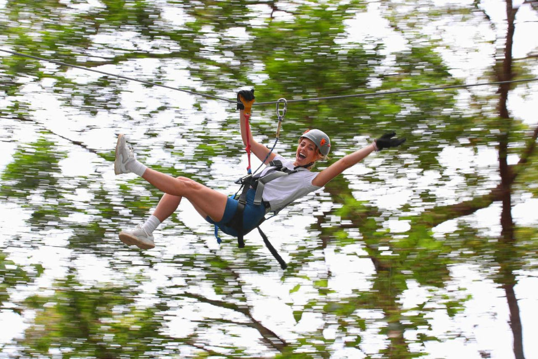 Currumbin Adventure Park - Treetop Challenge