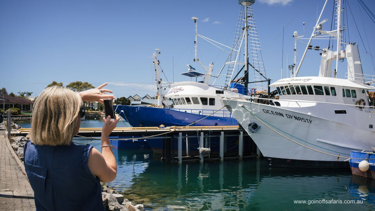 Exceptional Port Lincoln, Seafood And Wildlife Tour - Full Day