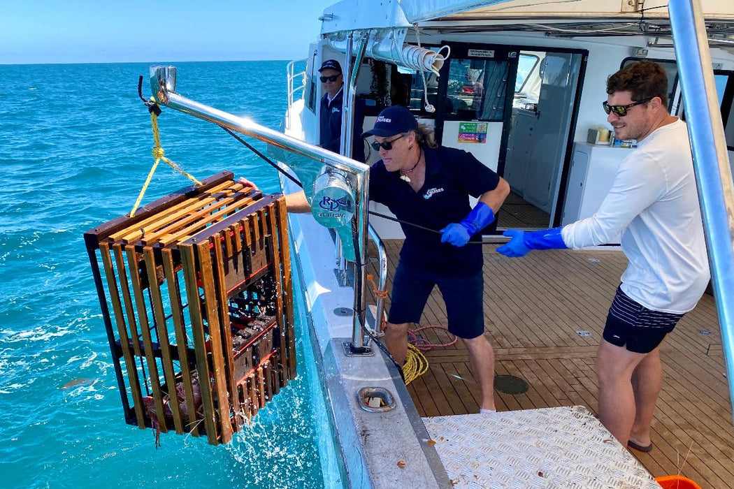 Mandurah Wild Seafood Experience