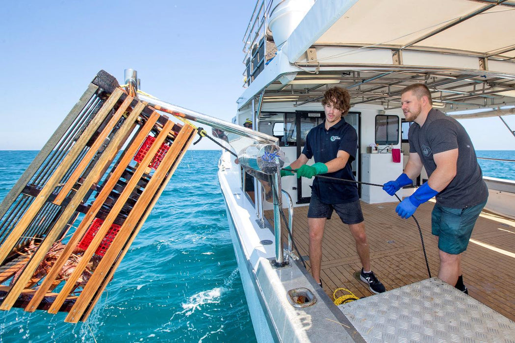 Mandurah Wild Seafood Experience