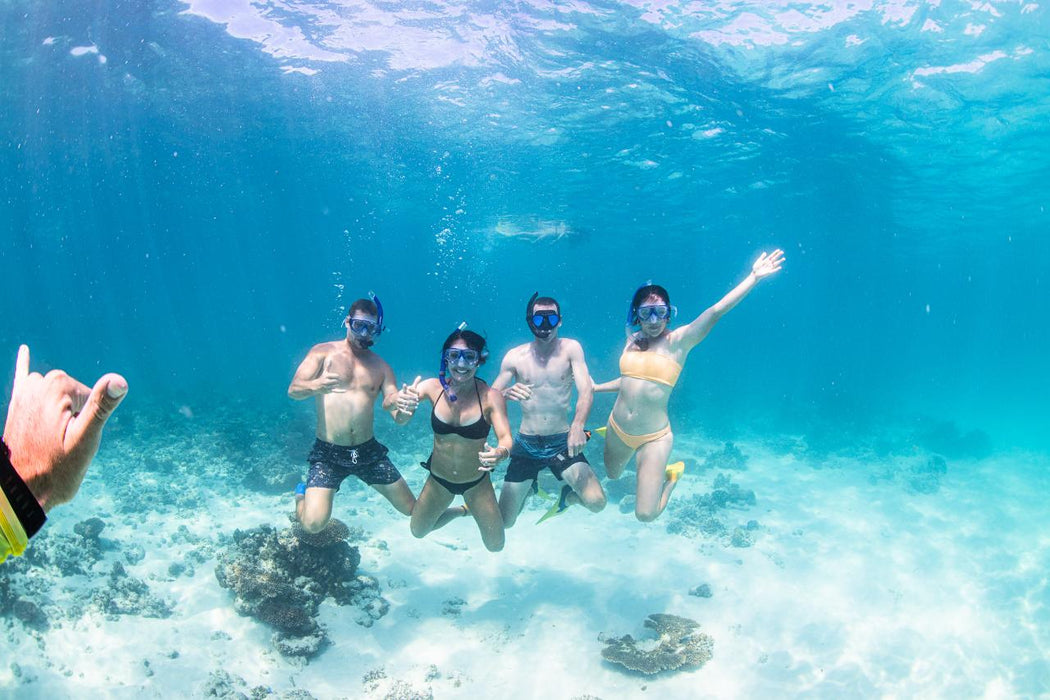 Whale Shark Adventure Swims Exmouth