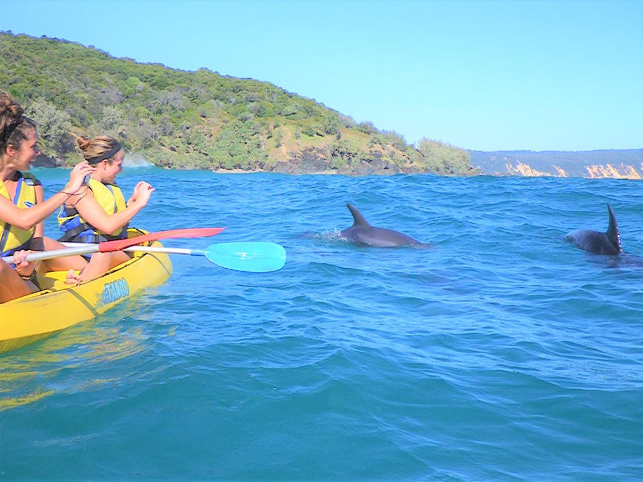 Noosa Dolphin View Sea Kayak & Beach 4X4 Adventure - Day Tour