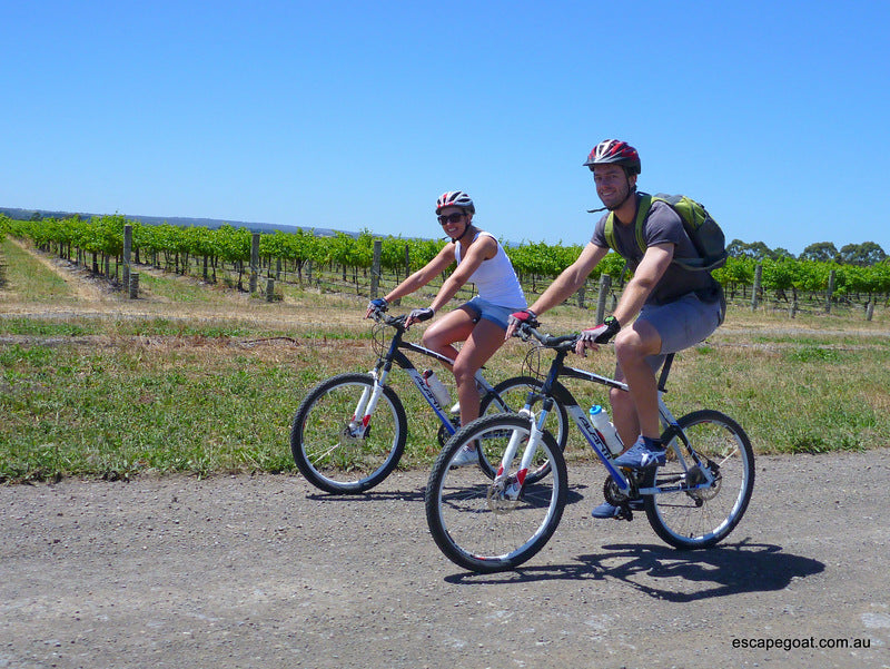 Ride And Wine Tour