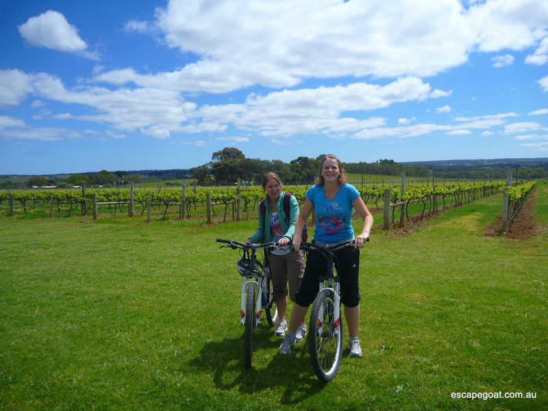 Ride And Wine Tour