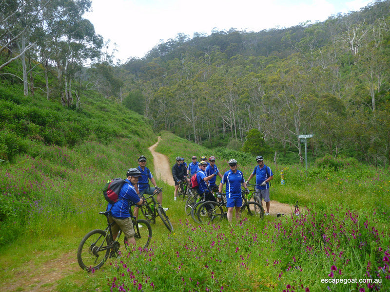 Premium Bike Tour