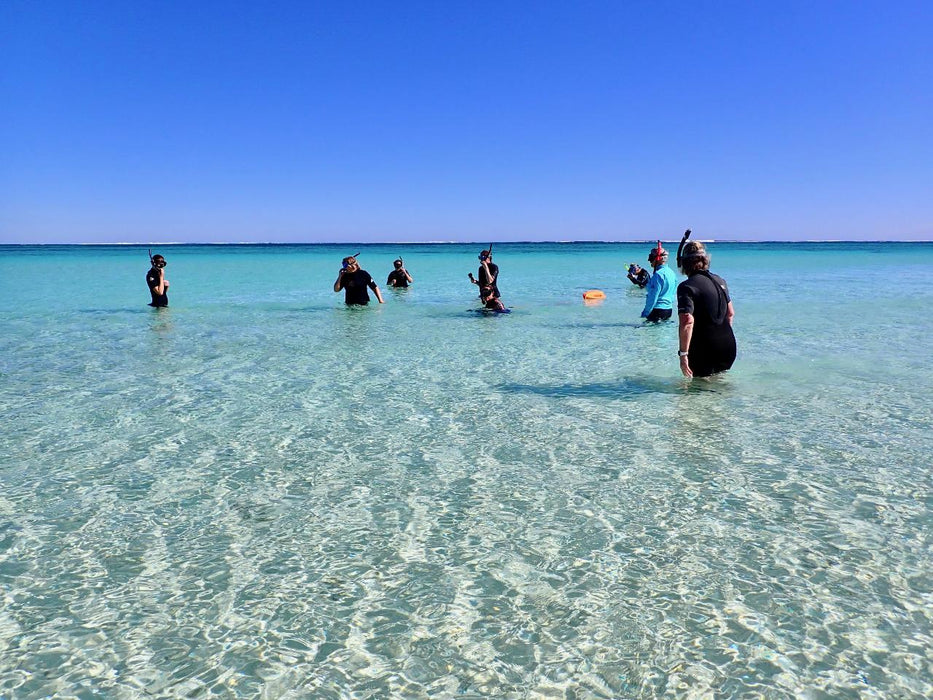 Ningaloo In A Day