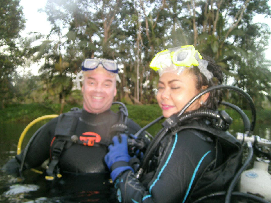 Rainforest Platypus Dive