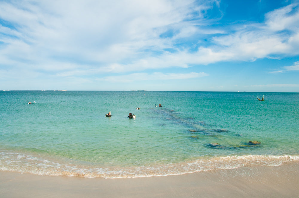 Discover Local Diving In Perth