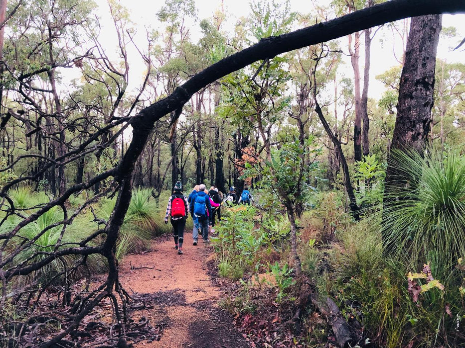 Bickley Valley Hiking Experience