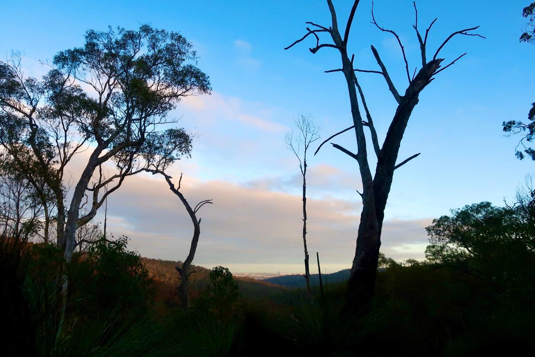 Bickley Valley Hiking Experience