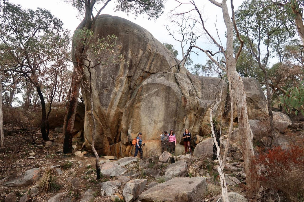 Discover The Bibbulmun - Kalamunda To Mundaring Hiking Experience