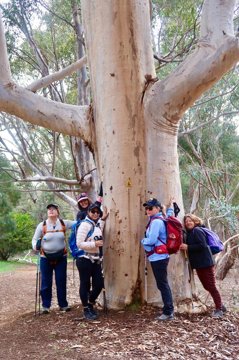 Discover The Bibbulmun - Kalamunda To Mundaring Hiking Experience