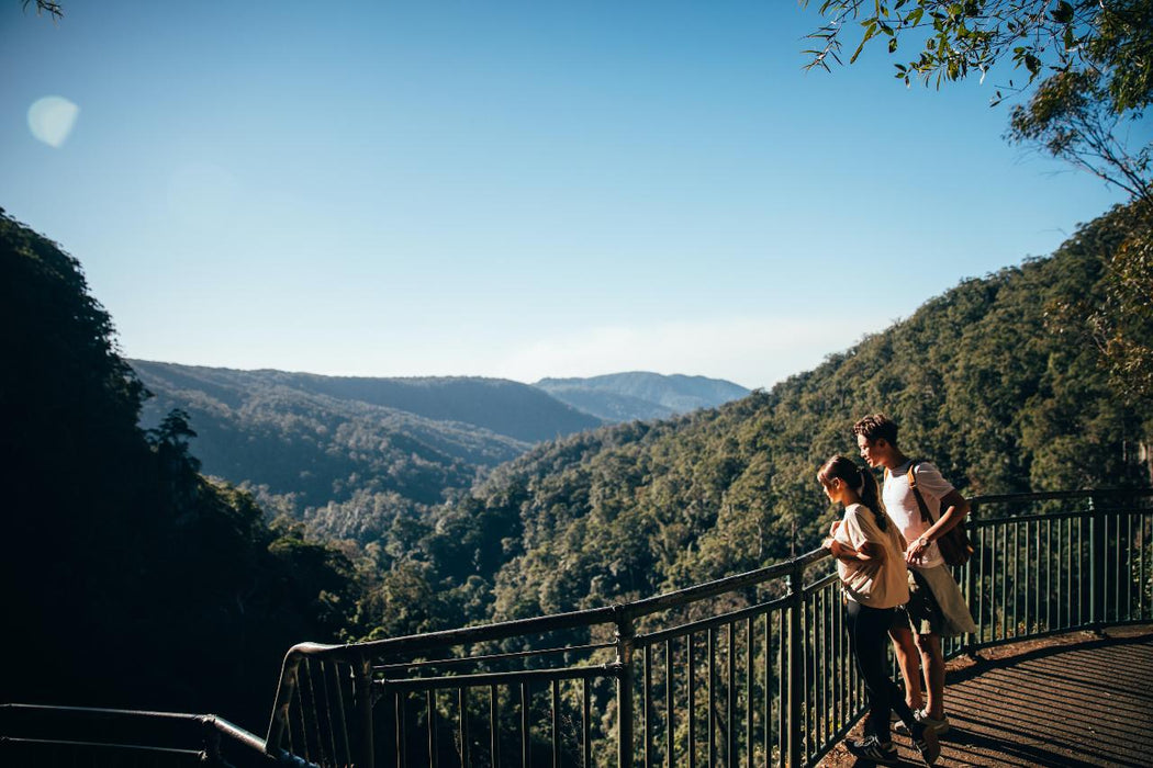 Natural Bridge & Springbrook Waterfalls Tour