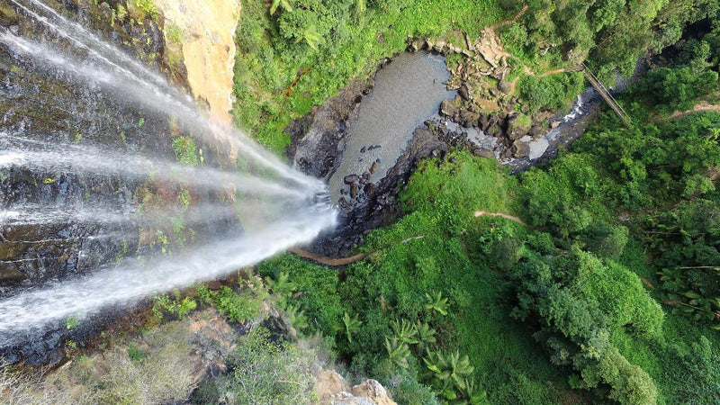 Natural Bridge & Springbrook Waterfalls Tour