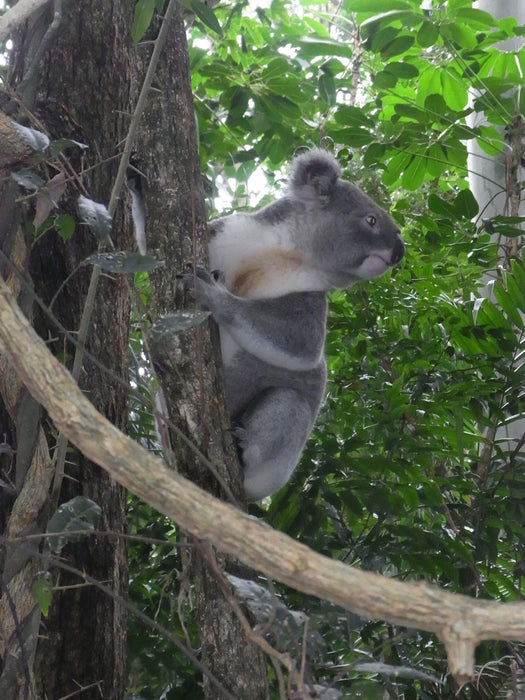 Half Day Out Byron Bay Tour