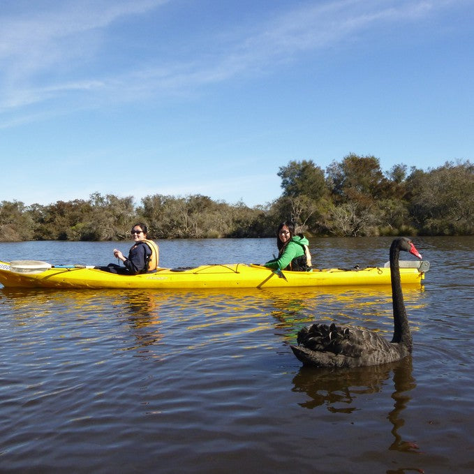 Canning River Half Day Tour